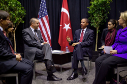 Zelena-transferzalasmall